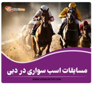 مسابقات اسب سواری در دبی {تاریخچه، قوانین و شرایط 2024}